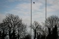 Monaghan 1st XV Vs Cavan 1st XV - Jan 24th 2015 (16)
